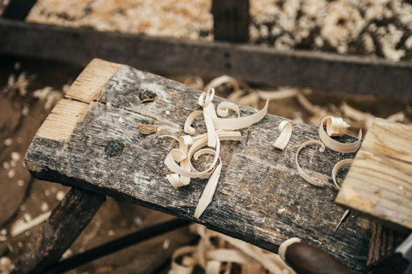 Échapper aux champignons : solutions efficaces pour le traitement du bois à Tigy